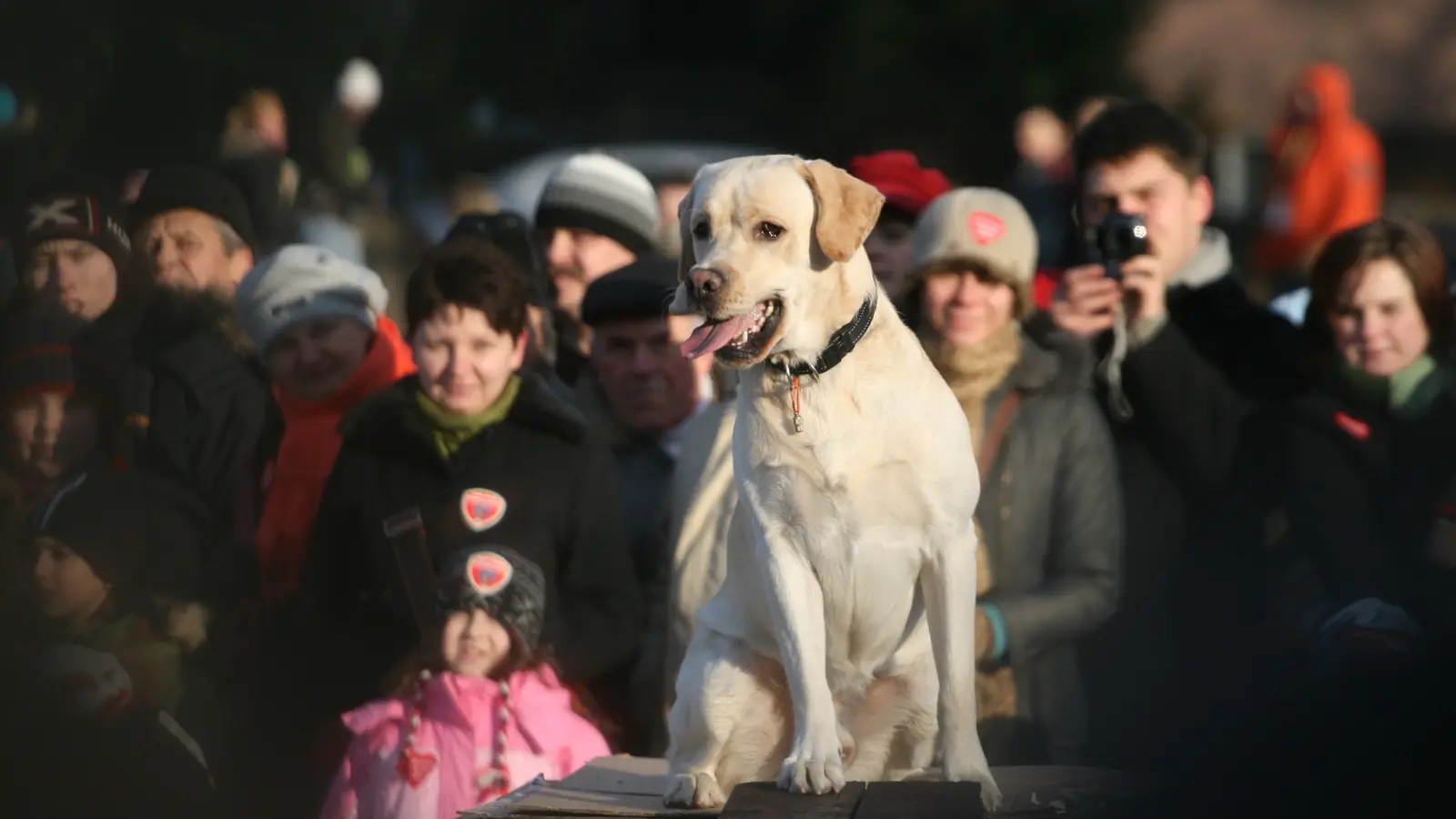 Suchhundeteam nach erfolgreichem Training